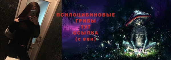 твердый Дубна
