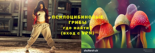 дживик Нязепетровск